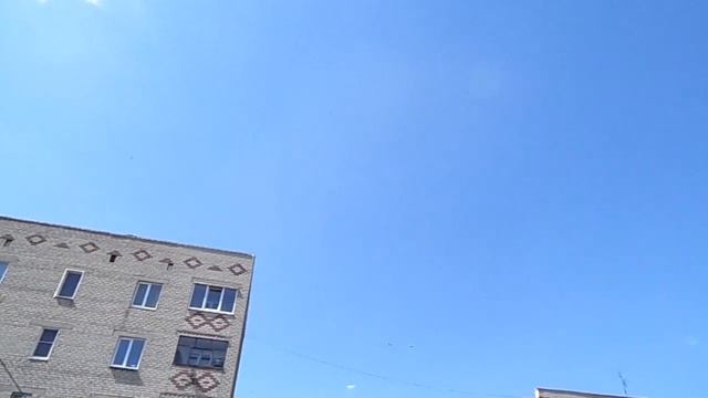 голуби Донбасса г.Родинское у Михалыча на новом месте ф.1 смотреть онлайн