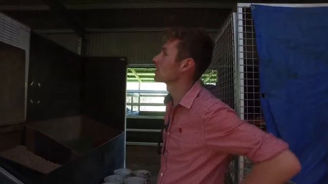 Sale time snippets - Yearling Nutrition смотреть онлайн