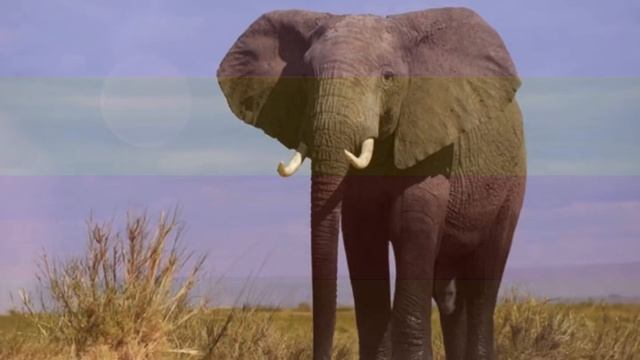 Big Small Short Tall смотреть онлайн