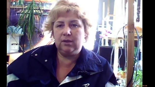ОГОРОДНЫЙ стрим по воскресеньям смотреть онлайн
