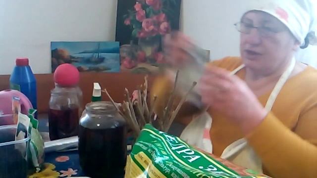 Укоренение черенков черной смородины смотреть онлайн