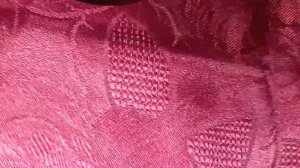 Nikon COOLPIX P950 Първи Професионален фотоапарат