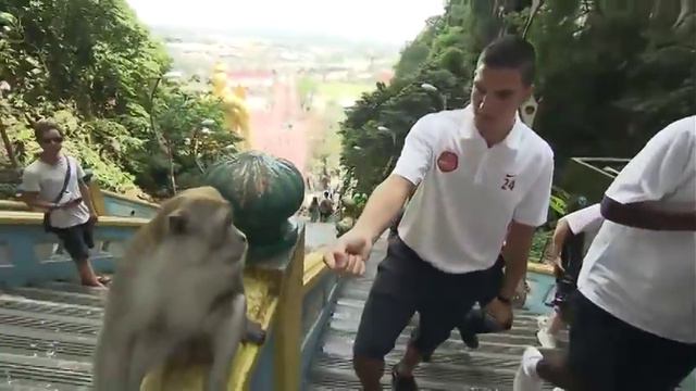 Vito Mannone v Monkey very funny moment смотреть онлайн