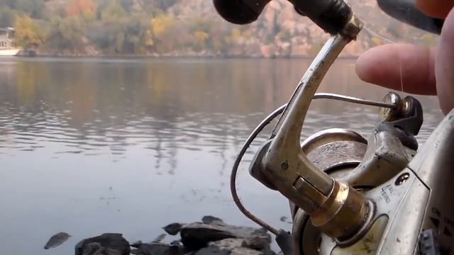Запорожье . 21.10.18г. Балка у скалы "Лазни" о. Хортица . смотреть онлайн