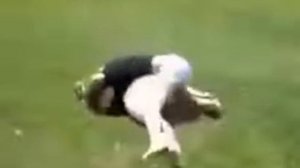 Женские драки! Делят объездную дорогу! Жми !