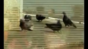 Я - Оренбуржец, и этим горжусь!