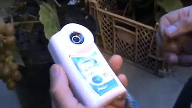 Чугуев Ю.М. Золотой Потапенко. 2011 год смотреть онлайн
