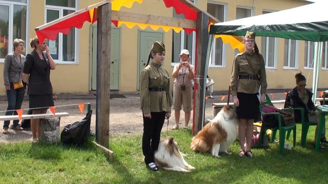 Колли в память о Дике часть 2 смотреть онлайн