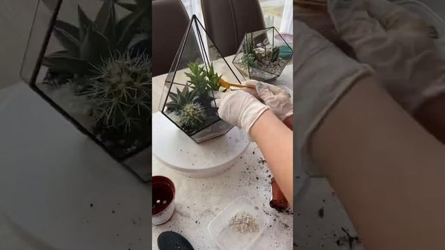 Как сделать флорариум с водоемом смотреть онлайн