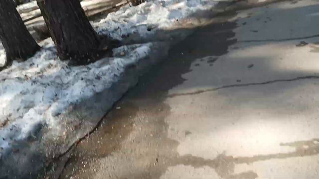 Новосибирский зоопарк(не все животные) часть 1 смотреть онлайн