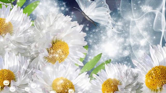 Футаж-фон Ромашки. Video Background HD 1080. смотреть онлайн
