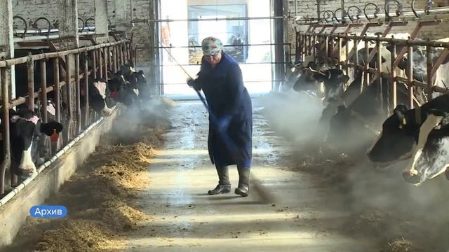 Минсельхоз региона составил рейтинг самых молочных хозяйств края смотреть онлайн