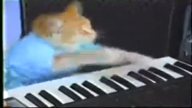 Play him off, Keyboard cat смотреть онлайн