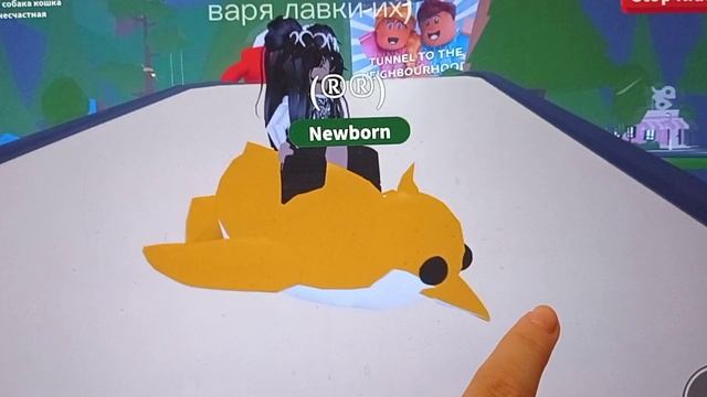 показываю своих петов только р и ф смотреть онлайн