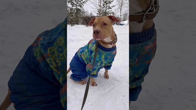 На изготовке? смотреть онлайн