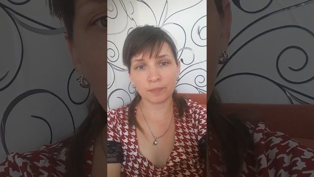 новорожденный котенок: как выкормить котенка -сироту смотреть онлайн