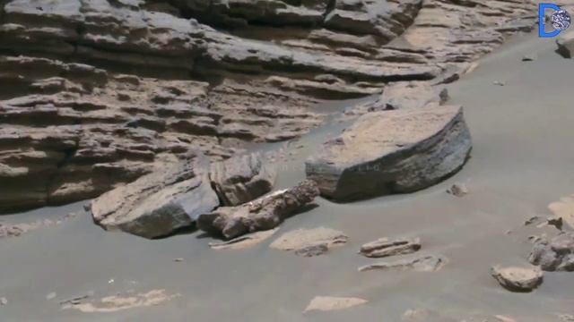 NASA's Mars Rover Capture Latest Shocking Scene of Mars Life -Perseverance Live Images смотреть онлайн
