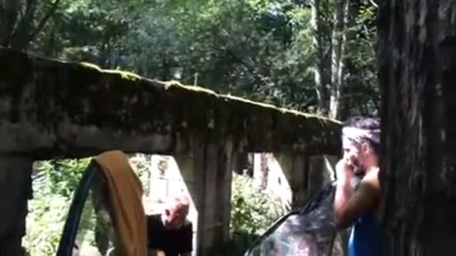Абхазия. Озеро Рица. смотреть онлайн