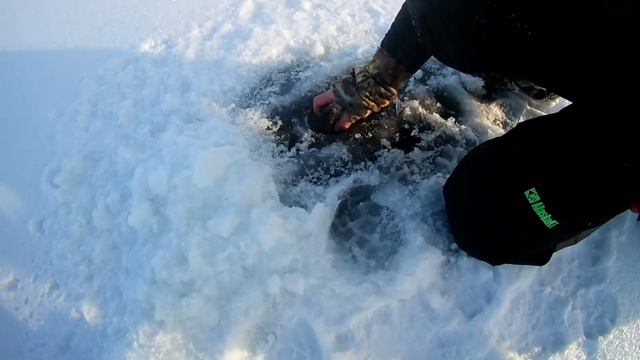 НАРЕЗКА ТРОФЕЙНЫХ ОКУНЕЙ | {МОЯ СУПЕР-РЫБАЛКА 2020} смотреть онлайн