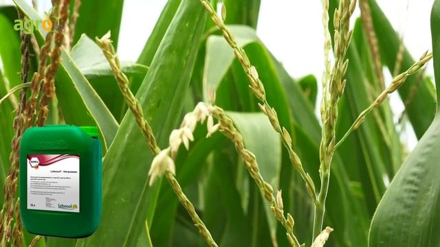 Лебозол-Нитромикс на кукурузе смотреть онлайн