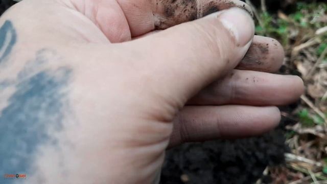 #243 Серебро с Garrett Apex смотреть онлайн