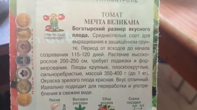 Обзор томата в октябре. Мечта великана.