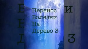 # перенос болезни на дерево 3#