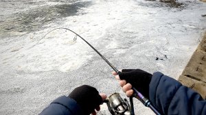 КЛЮЁТ ТОЛЬКО ЗАКИНЬ! РЫБАЛКА на СПИННИНГ ВЕСНОЙ