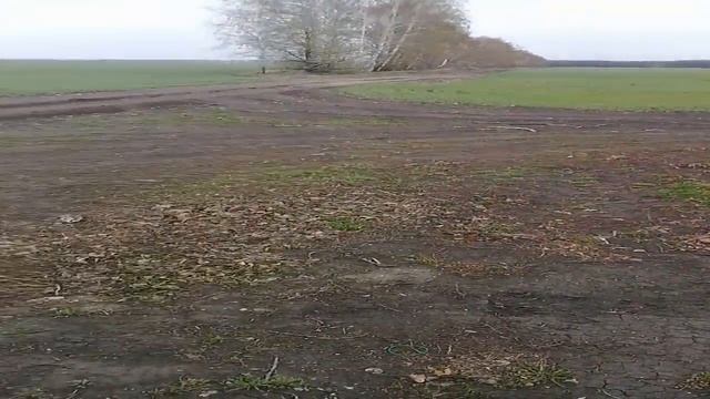 зарабатываем 1000 рублей за 4 часа копа смотреть онлайн