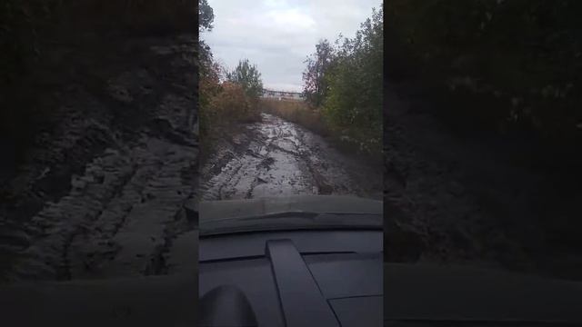 Дорога через п. Козелки к Кошелев Парку смотреть онлайн