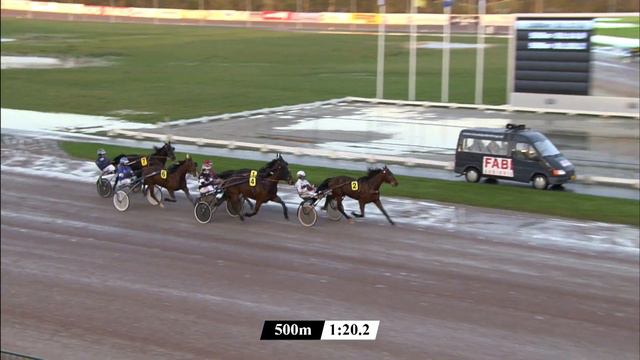 Victoria Park Wolvega 31-12-2021 Koers 1 Luigi il Mago - Caroline Aalbers смотреть онлайн