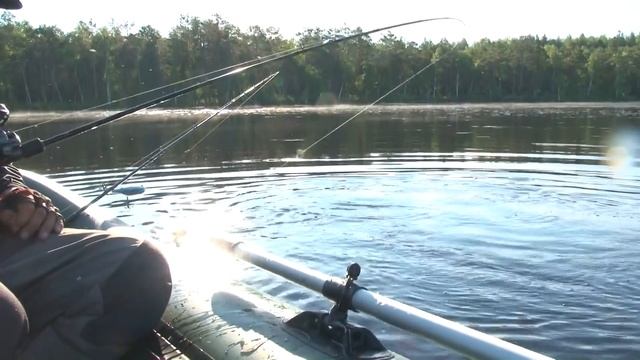 Ловля крупной щуки и окуня на воблеры Strike Pro. смотреть онлайн