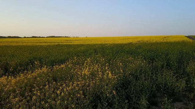 Ищи другую женщину, эта здорового ребенка тебе не родит! Говорила свекровь. Аудио рассказы смотреть онлайн