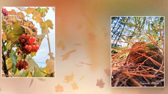 С Днем Учителя!!! смотреть онлайн