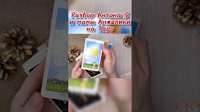 Антон S и его мама Анжелика ? Разбор на #таро #расклад смотреть онлайн