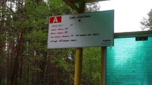 Санаторий Сосны, Беларусь / Sanatorii Sosny at Naroch Lake, Belarus