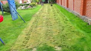 Уход за газоном. ПОЧЕМУ ЖЕЛТЕЕТ ГАЗОН, ЧТО ДЕЛАТЬ. Обновление газона после лета.