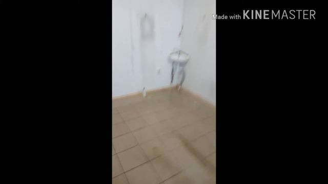 Как открыть наливайку? Рюмочная с нуля! Первый день в арендованном помещении! смотреть онлайн