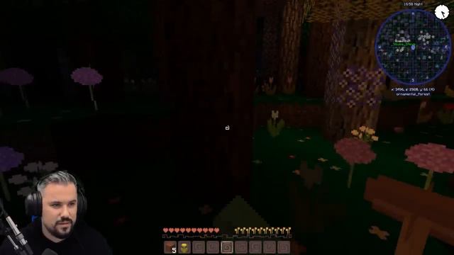 SEASON 2 - THE HIDDEN WORLD! - Minecraft Dragons смотреть онлайн