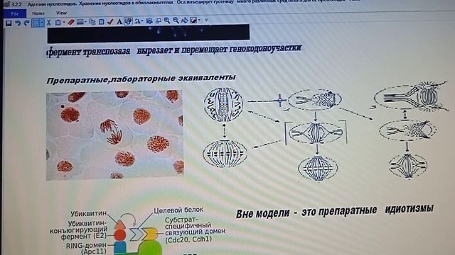 3 2 2+ Адгезии создаются топоникой поверхностей связывания и средой охвата Химия температура давле смотреть онлайн
