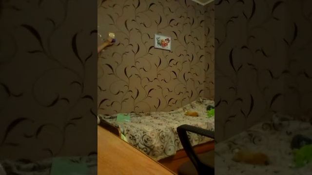 Как научиться ловить мячи и не пропускать смотреть онлайн