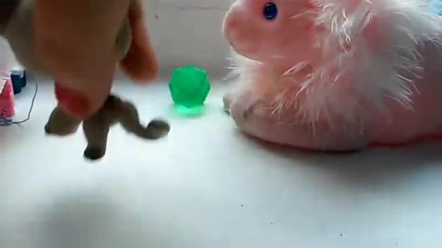 Ангел упал с земли #1 смотреть онлайн