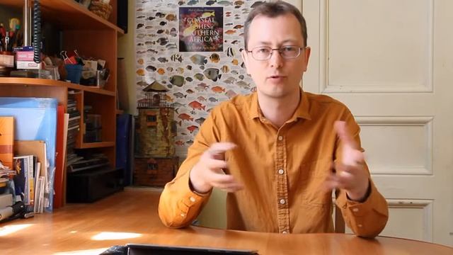 Как холодильник холодит. Видео для проекта "Культурный кот" смотреть онлайн