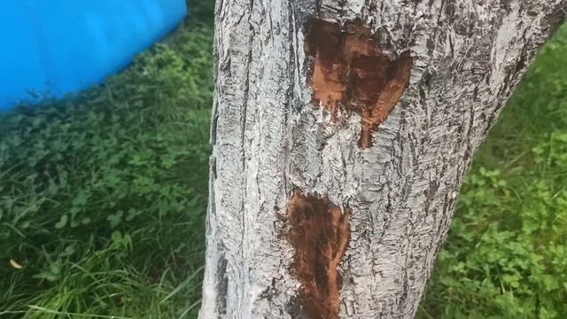 Ремонтные Истории