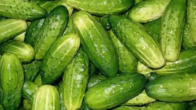 Семена Огурца Сахарный гигант купить+ смотреть онлайн