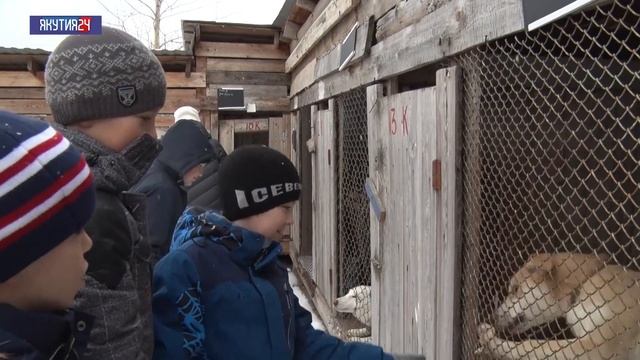 К дню домашних животных