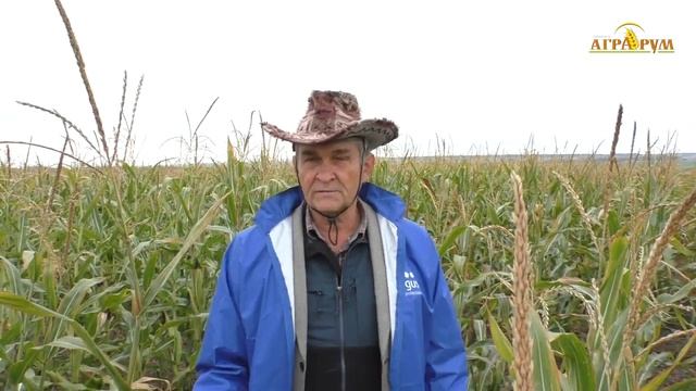 Выращивание кукурузы при NO-till в Самарской области смотреть онлайн