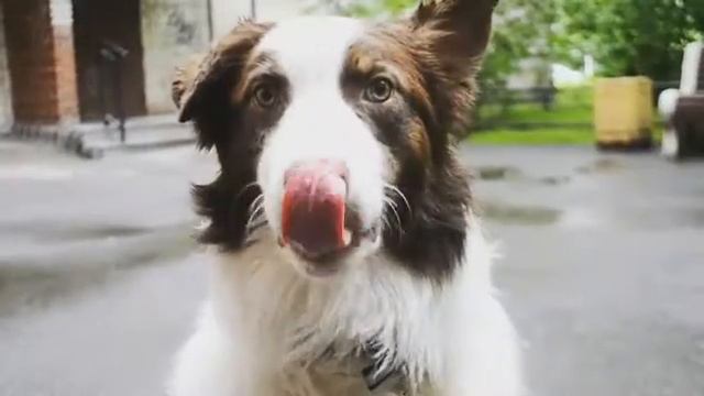 Команда "лови"_ смотреть онлайн