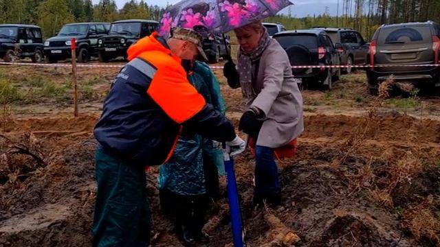 «Сохраним лес» смотреть онлайн
