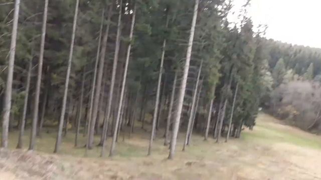 PitsrerPro125. Осенняя покатушка на питбайках. Hard эндуро? смотреть онлайн